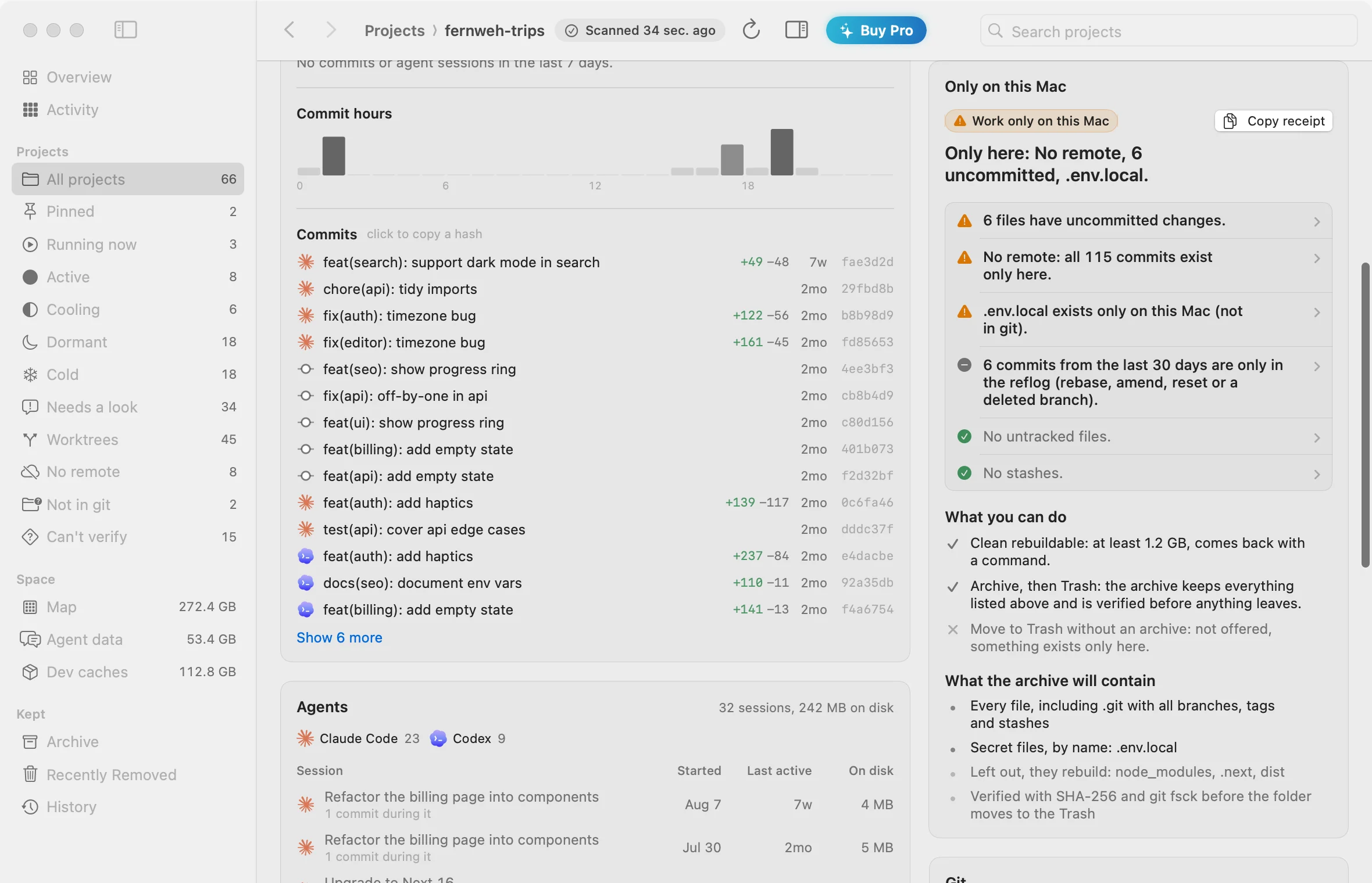 A project's receipt: uncommitted changes, no remote, and what you can do.